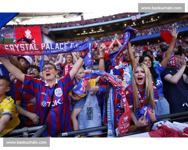 激情看台上的旋律与信仰球迷歌曲文化探秘从绿茵场到城市记忆的传承